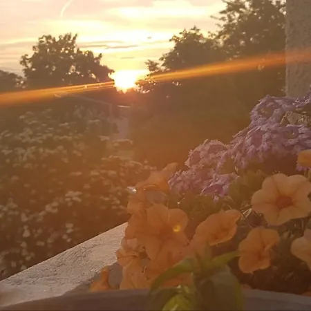 Sonnenschein * Regensburg