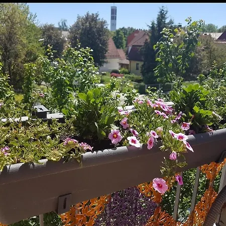 Sonnenschein *